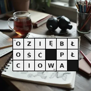 Hasło krzyżówkowe obniżenie popędu płciowego - oziębłość płciowa – rozwiązanie, synonimy, podpowiedzi i definicje krzyżówkowe